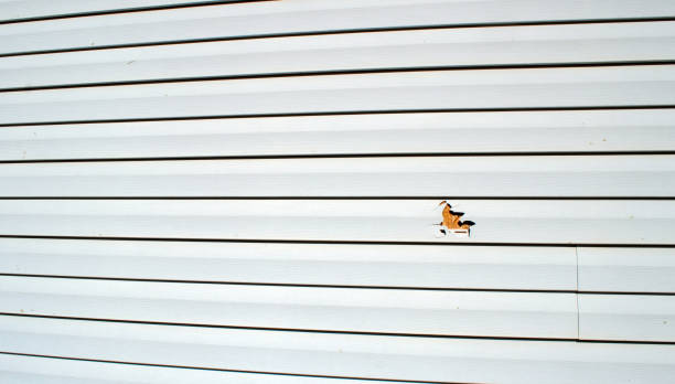 Best Siding Removal and Disposal  in Lenwood, CA